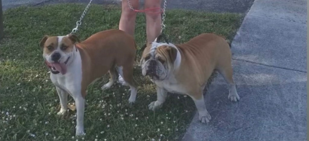 I Am Not The One To Play With!